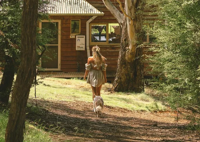 Little Olive Cabin